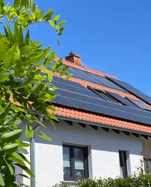 photo_2025-06-02_11-39-31